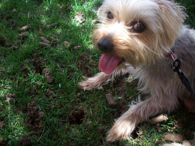 Samwise Gandalf Hatch Smiles