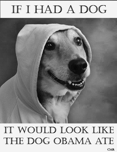 Obama Dog Hoodie
