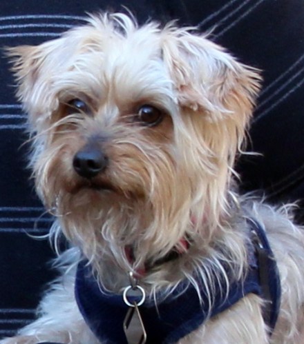 Samwise Gandalf Hatch